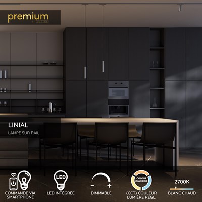 Lucide Premium LINIAL GLYX Spot sur rail - Système de rail monophasé / Éclairage sur rail smart - Smart - 48V Track - 1xLED - Canon Fusil Mat